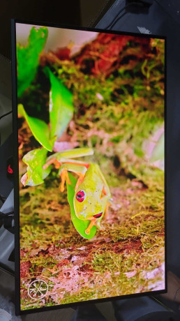 ASUS ROG SWIFT OLED PG32UCDM 31.5 GAMING(OUTLET)